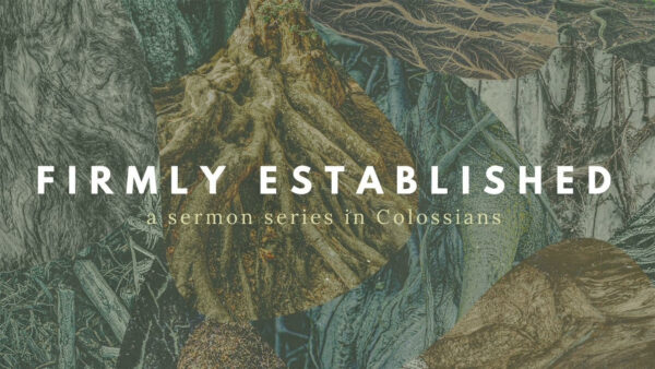 Firmly Established: Who is Jesus? (Colossians 1:15-20) Image