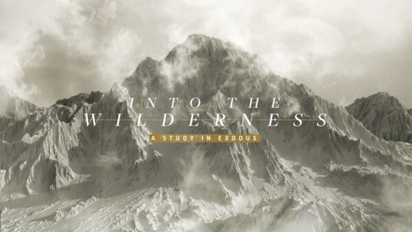 Into the Wilderness // A study in Exodus // Rich Lee // Part 6 Image